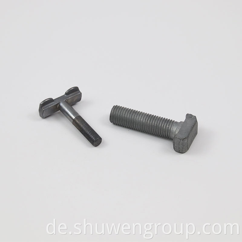 Stainless Steel T Head Bolt